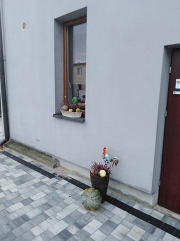 אפרטהוטל Krzyzanowice Pod Kogucikiem מראה חיצוני תמונה