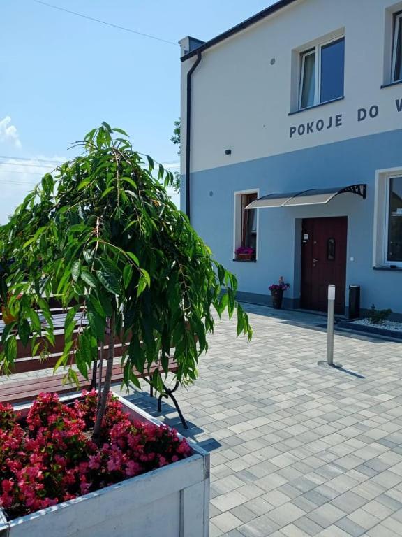 אפרטהוטל Krzyzanowice Pod Kogucikiem מראה חיצוני תמונה